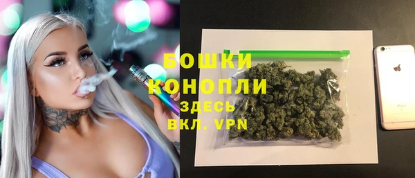 PSILOCYBIN Дмитров