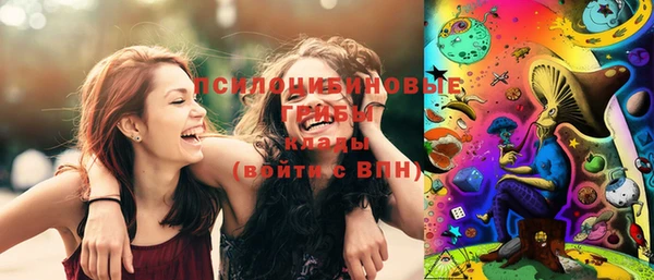 бутират Дмитриев