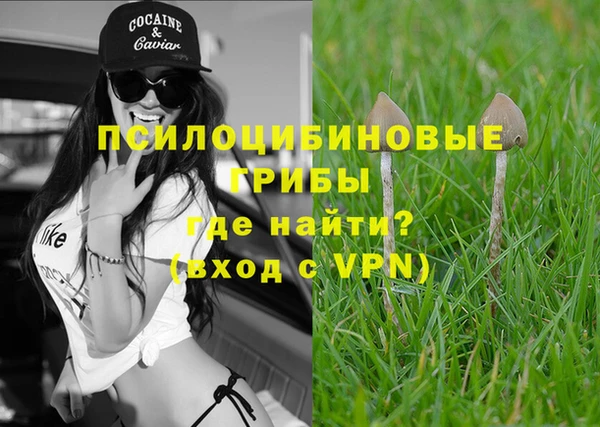 эйфоретик Дмитровск