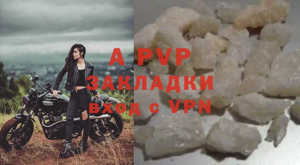 ПСИЛОЦИБИНОВЫЕ ГРИБЫ Гусев