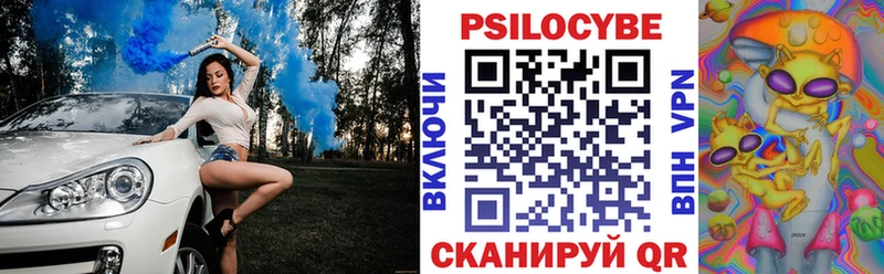 Галлюциногенные грибы Psilocybine cubensis  Купить  Кирс 